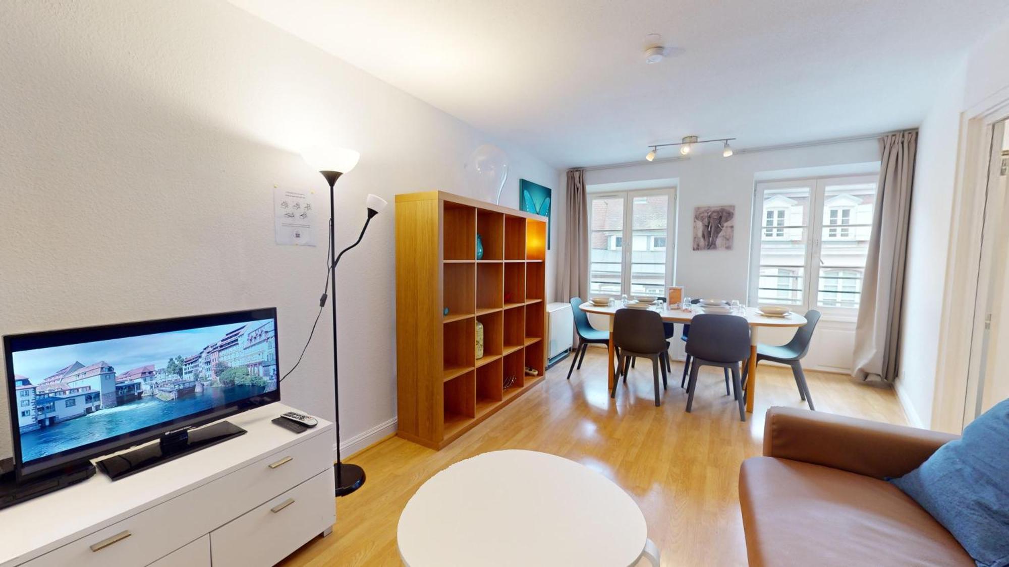 70 M² Strasbourg Appart City Center Εξωτερικό φωτογραφία